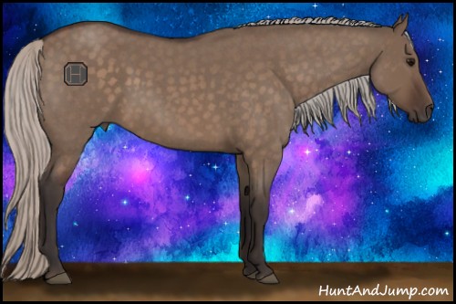 Horse Color:Silver Brown Roan Dun 