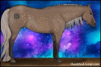 Horse Color:Silver Brown Roan Dun 