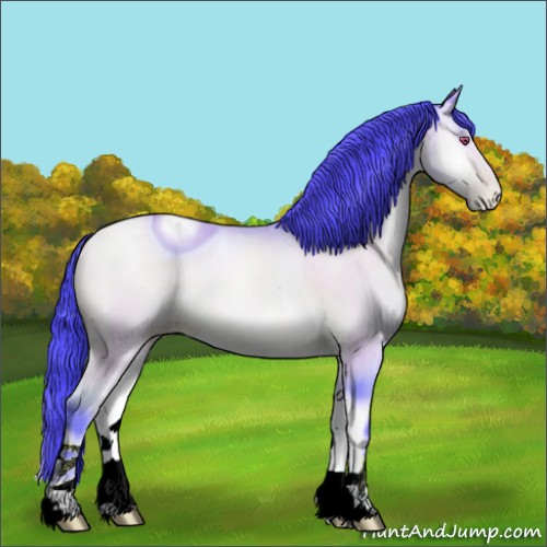 Horse Color:ERROR: UNKNOWN ANOMALY