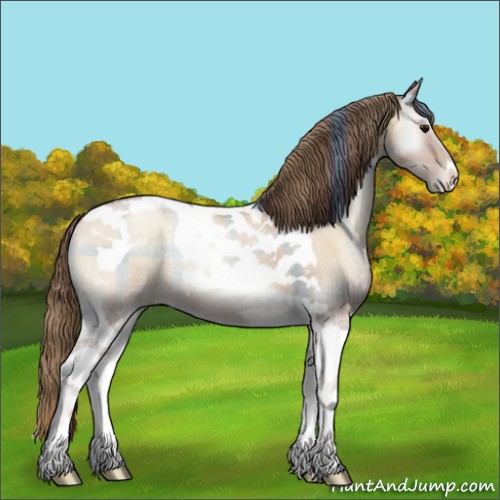 Horse Color:Plaid  Grullo Pearl Onyx Tobiano 