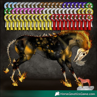 Horse Color:Void Painted Black Tobiano 