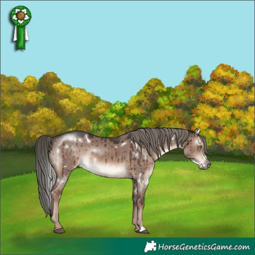 Horse Color:White Spotted Liver Red Dun Mushroom Rabicano Brindle