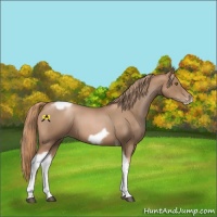 Horse Color:Liver Red Roan Pearl Tobiano Frame 