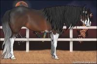 Horse Color:Brown Sabino