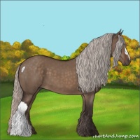 Horse Color:Silver Brown Dun 