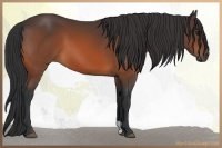Horse Color:Brown 