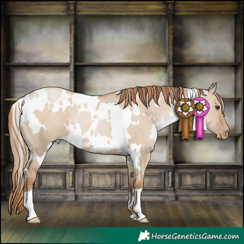 Horse Color:White Spotted Grullo Pearl 
