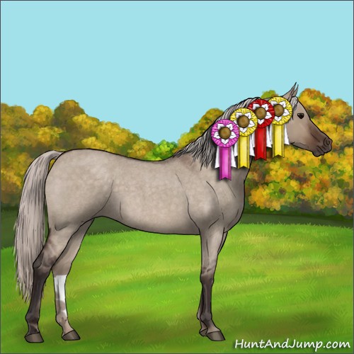 Horse Color:Silver Brown Roan Dun 