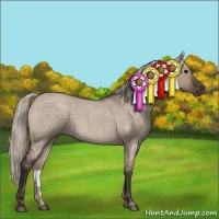 Horse Color:Silver Brown Roan Dun 
