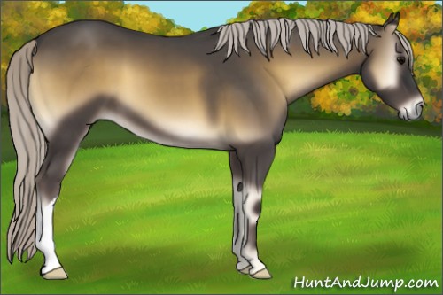 Horse Color:Silver Smoky Blue Onyx 