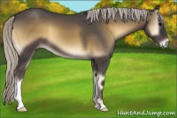 Horse Color:Silver Smoky Blue Onyx 