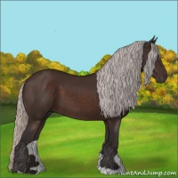 Horse Color:Silver Brown 