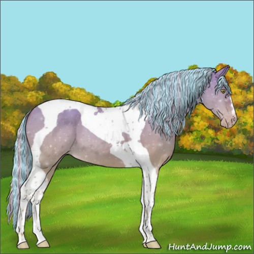 Horse Color:Painted Silver Sable Champagne Dun Tobiano 