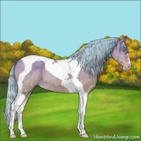 Horse Color:Painted Silver Sable Champagne Dun Tobiano 
