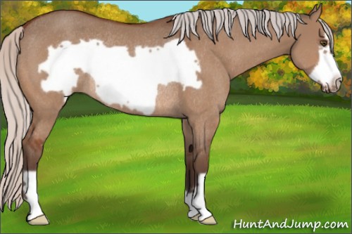Horse Color:Silver Bay Dun Frame Rabicano 