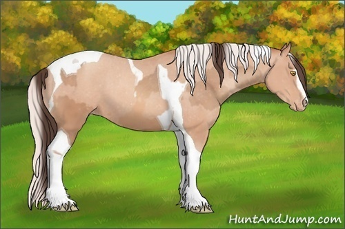 Horse Color:Amber Champagne Sabino Tobiano Varnish  and Silver Amber Champagne Sabino Tobiano Varnish 