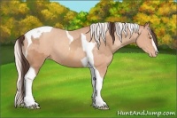Horse Color:Amber Champagne Sabino Tobiano Varnish  and Silver Amber Champagne Sabino Tobiano Varnish 