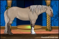 Horse Color:Silver Brown Dun