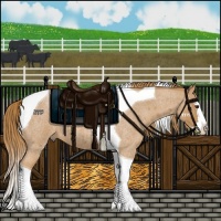 Horse Color:Red Roan Splash Tobiano 