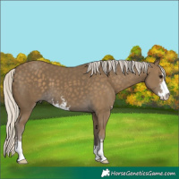 Horse Color:Silver Smoky Black Sabino 