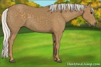 Horse Color:Silver Smoky Black Sabino 