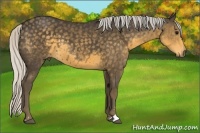 Horse Color:Silver Smoky Black Sabino 