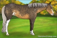 Horse Color:Silver Smoky Black Sabino 