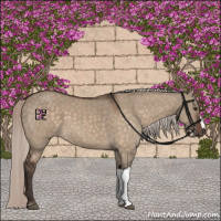 Horse Color:Silver Brown Dun 