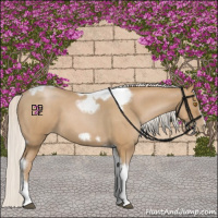 Horse Color:Silver Blue Roan Pearl Tobiano Frame 