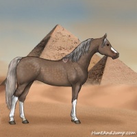 Horse Color:Silver Brown Dun
