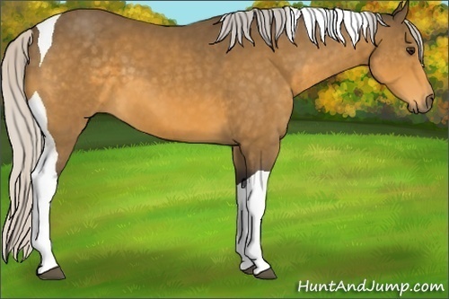 Horse Color:Silver Buckskin Sabino Tobiano 