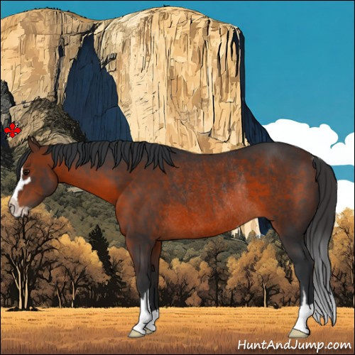 Horse Color:Brown Sabino Rabicano