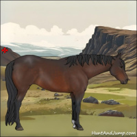 Horse Color:Brown 