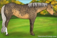 Horse Color:Silver Smoky Black 