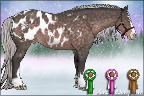 Horse Color:Platinum Silver Brown Sabino Appaloosa 