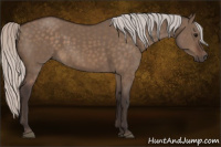 Horse Color:Silver Brown Dun
