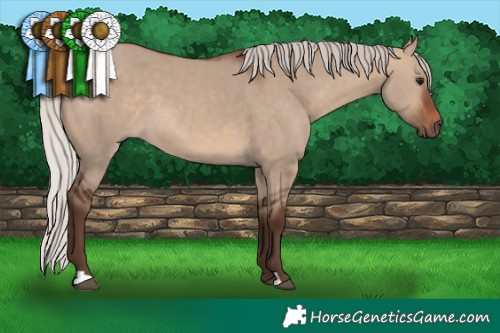 Horse Color:Silver Brown Dun 