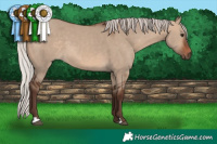 Horse Color:Silver Brown Dun