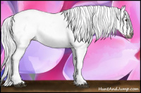 Horse Color:Gray Bay Sabino Tobiano Varnish 