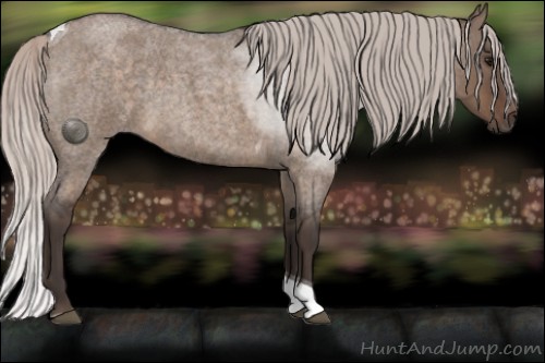 Horse Color:Silver Brown Roan Dun Tobiano 