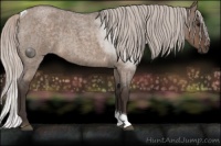 Horse Color:Silver Brown Roan Dun Tobiano 