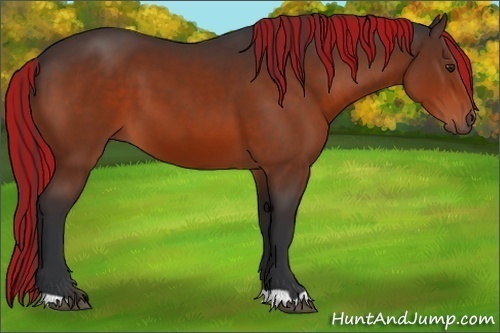 Horse Color:Painted Brown 