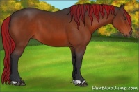 Horse Color:Painted Brown 