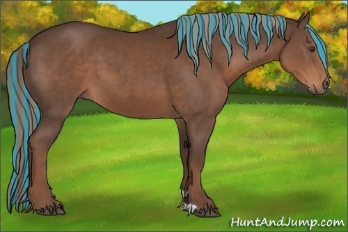 Horse Color:Painted Liver Chestnut 