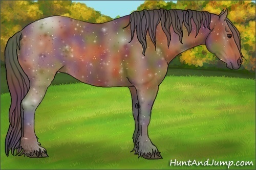 Horse Color:Nacre Buckskin 