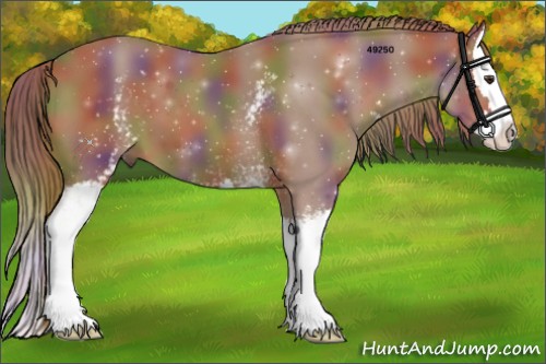 Horse Color:Nacre White Spotted Chestnut Splash 