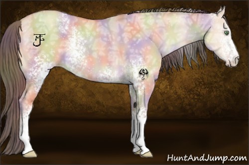 Horse Color:Nacre White Spotted Amber Champagne Ice Dun Rabicano 