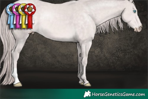 Horse Color:Platinum Chocolate Perlino 
