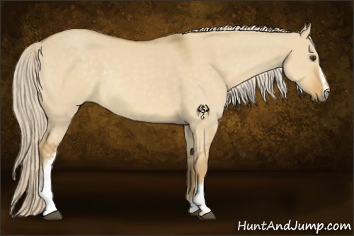 Horse Color:White Spotted Palomino Dun 