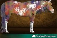 Horse Color:Nacre White Spotted Bay 